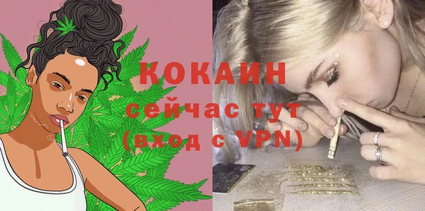 мескалин Карпинск