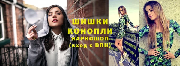 2c-b Каменка